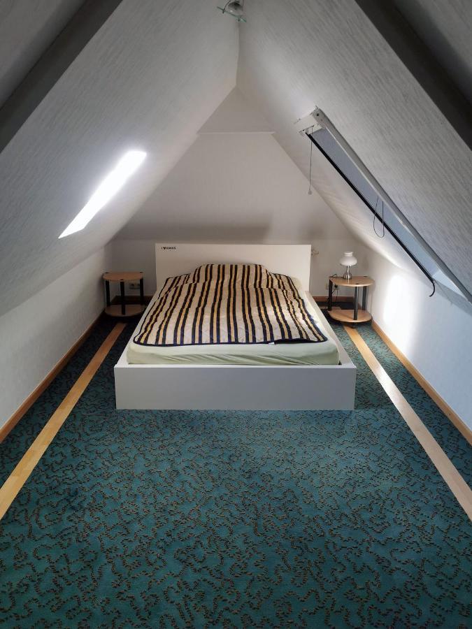 Apartment In Villa Rochlitz ภายนอก รูปภาพ